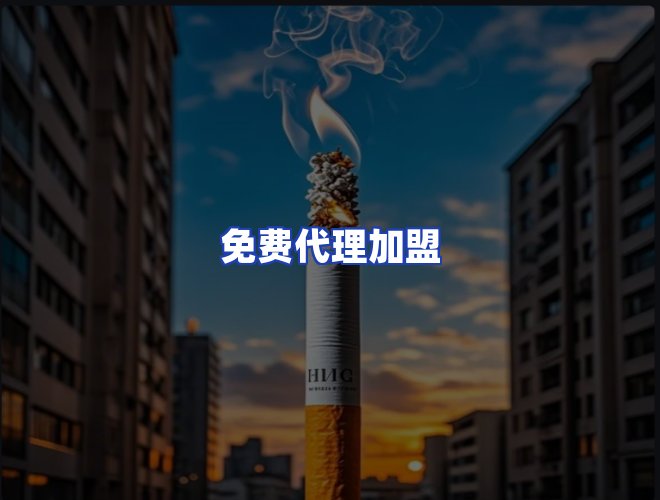 专业团队